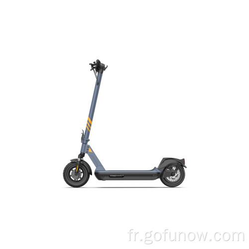 Nouveau scooter électrique pour adulte 350W 36V